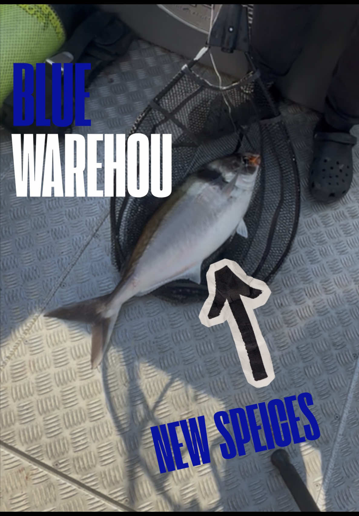 @CCFishing