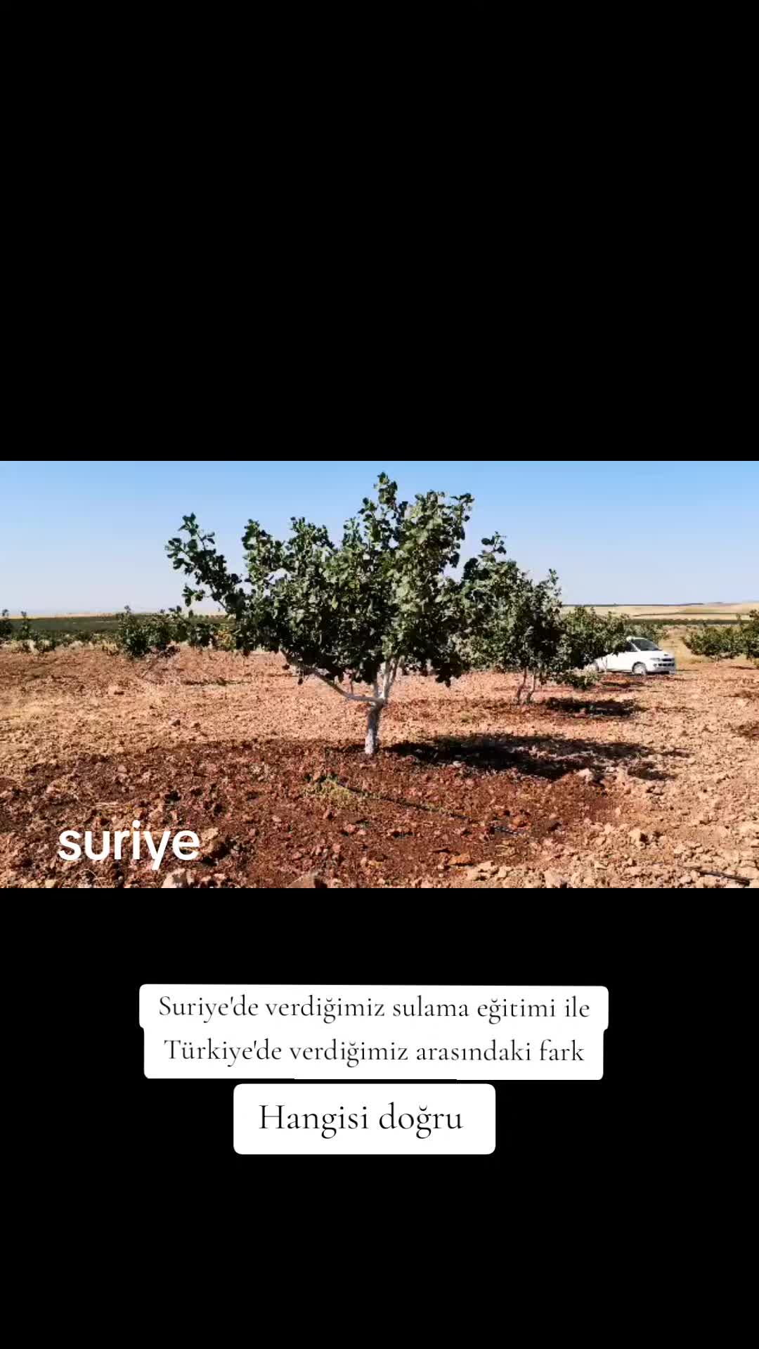@BaranGokmen07
