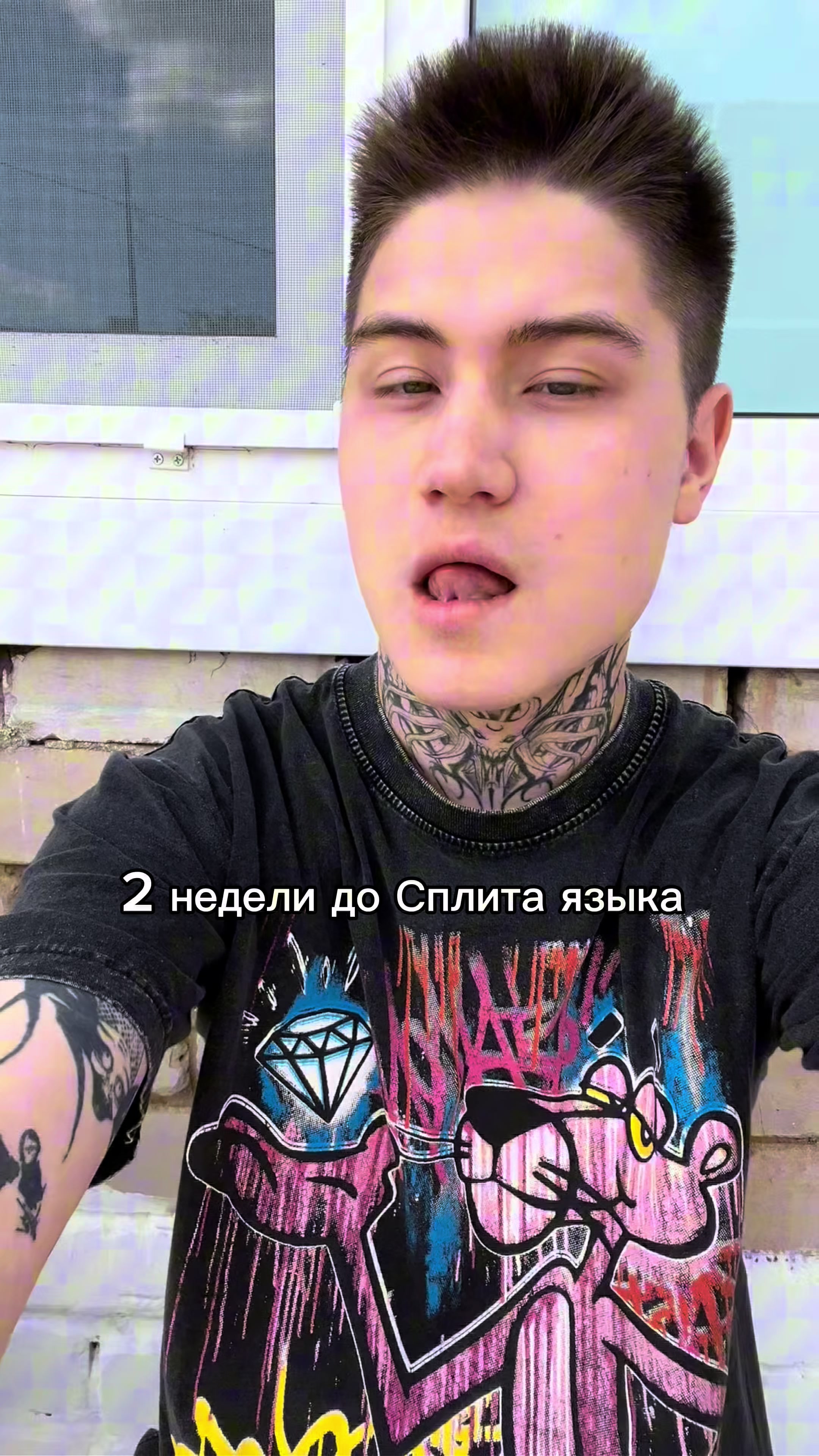 @Мотик🐍