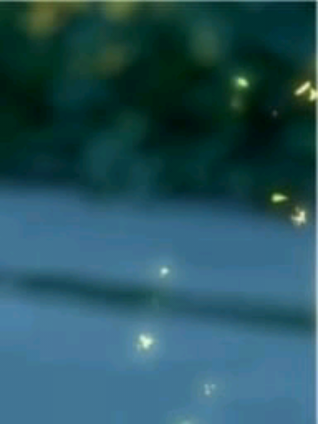 @νιяα.мυѕιᴄᥫ᭡