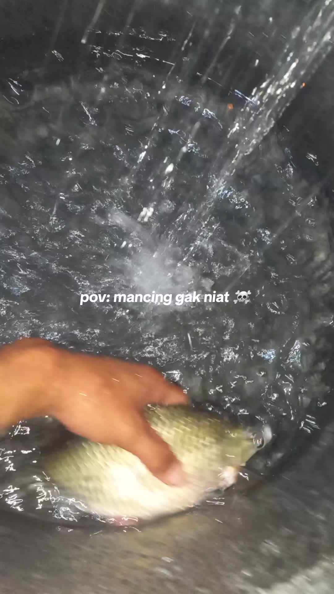@𝙏𝙮𝙤𝙭𝙯_ska FSNG