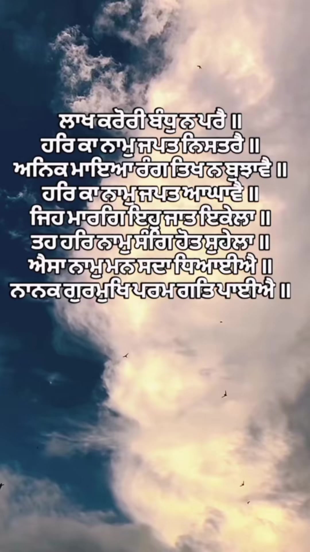 @punjabtoncanada