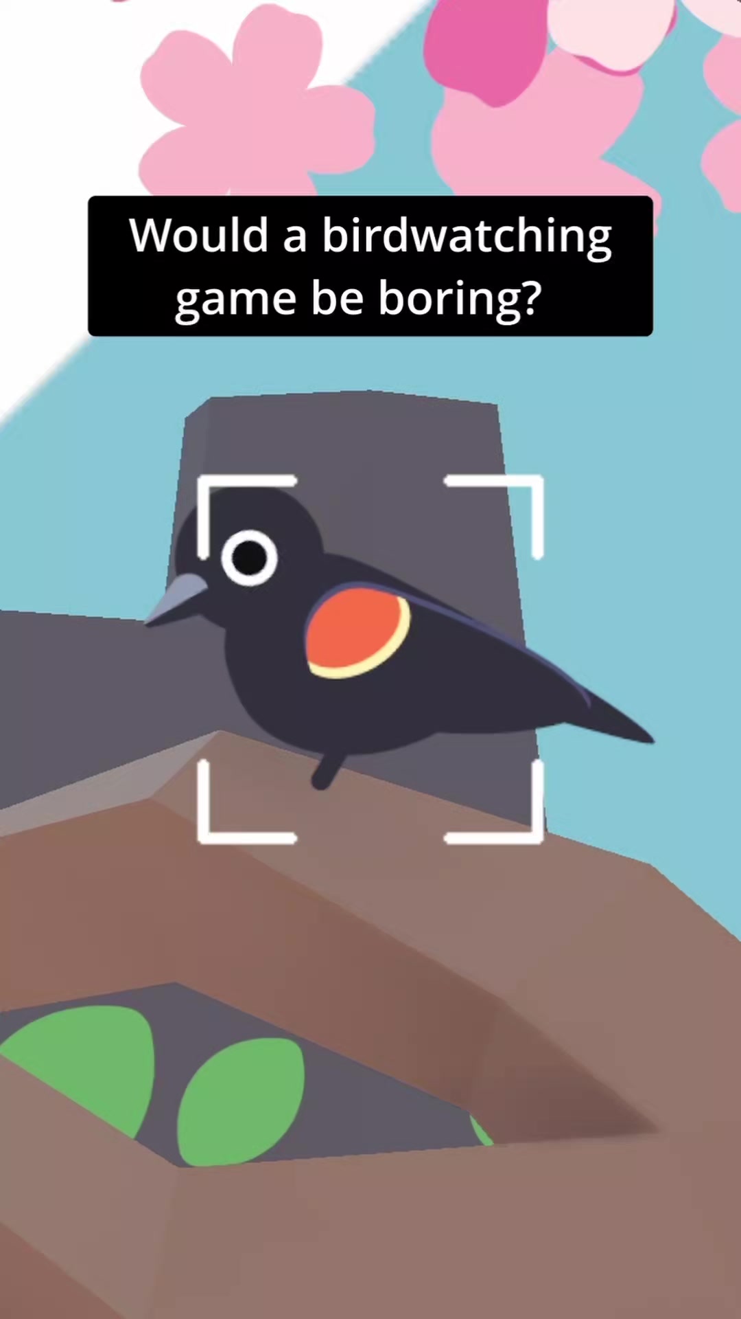 @Flock Around