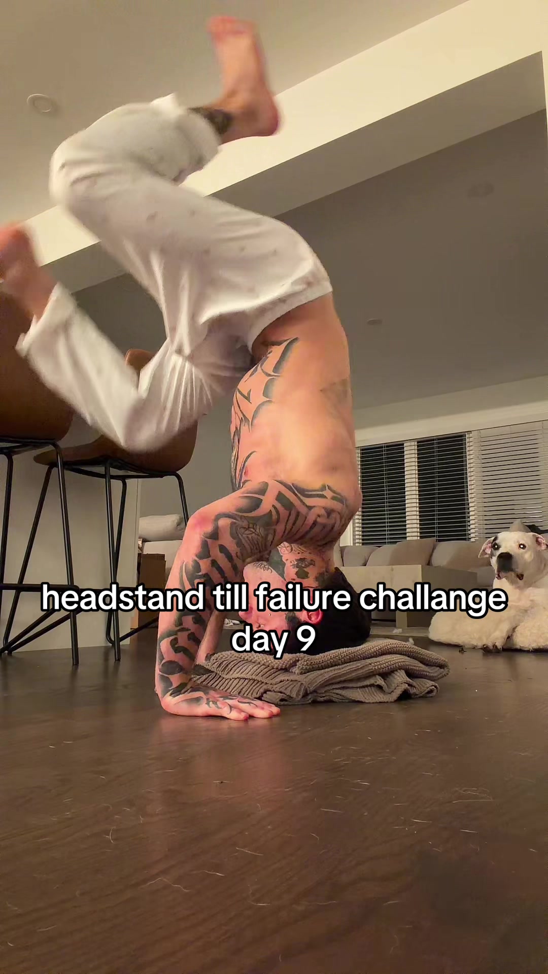 @Jax
