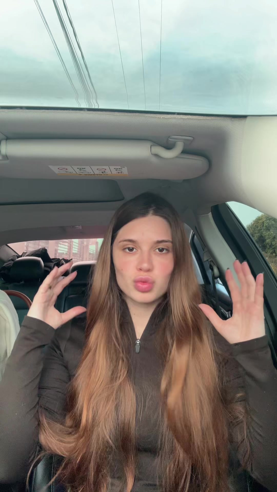 @dailyevyvieira