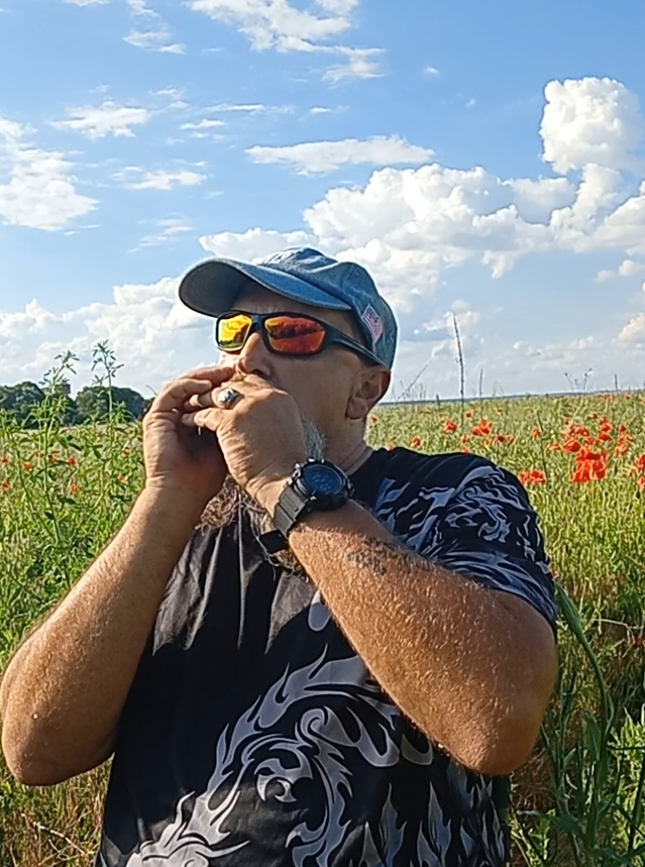 @Zen Harmonica 🇺🇦