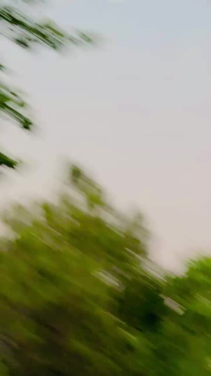@زید احمد باجوڑی🏏🇵🇰