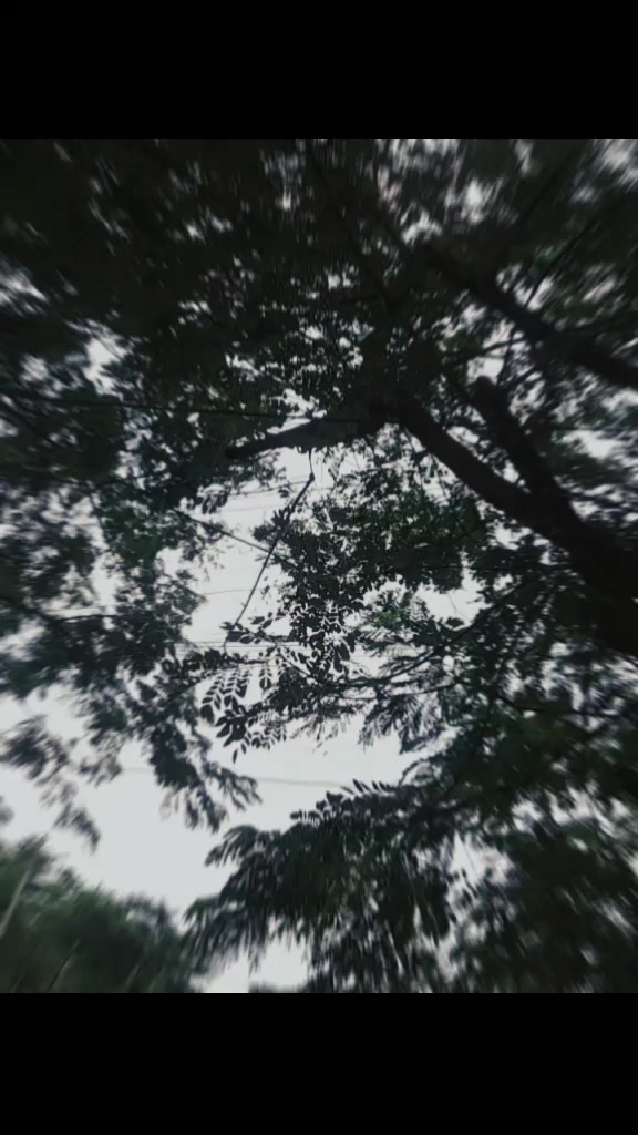 @ෆ__Little__Girl__ᰔᩚ