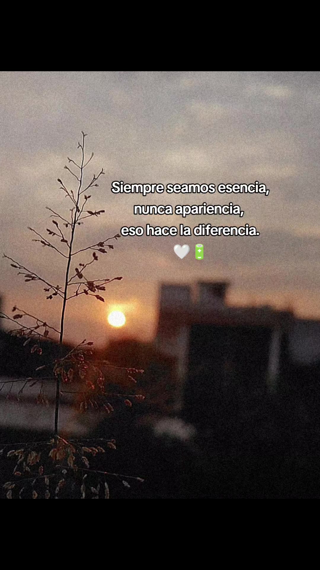 @Jaqui Silva