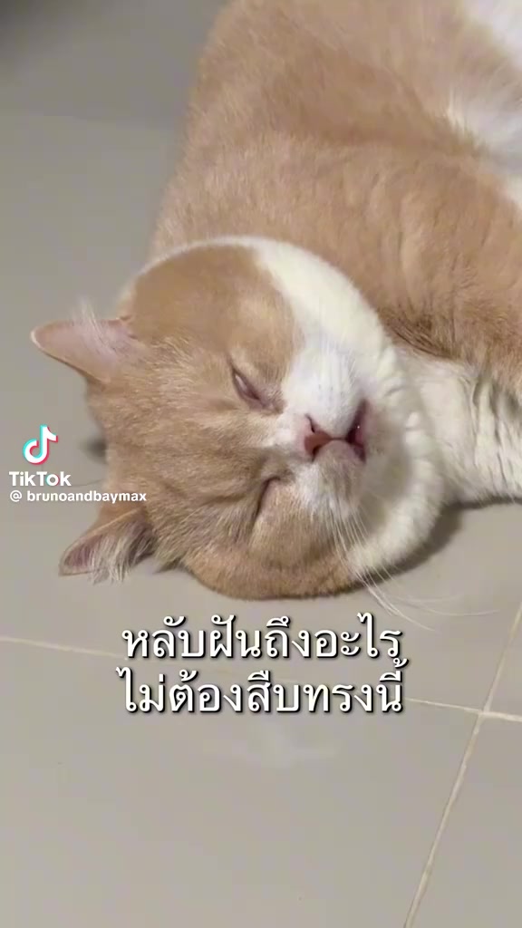 @ตุ้ม จันทาพูน