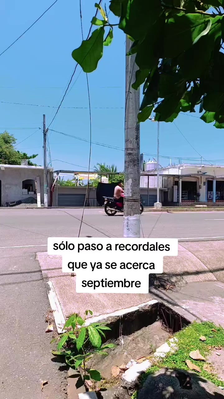 @M.I.S.M.O