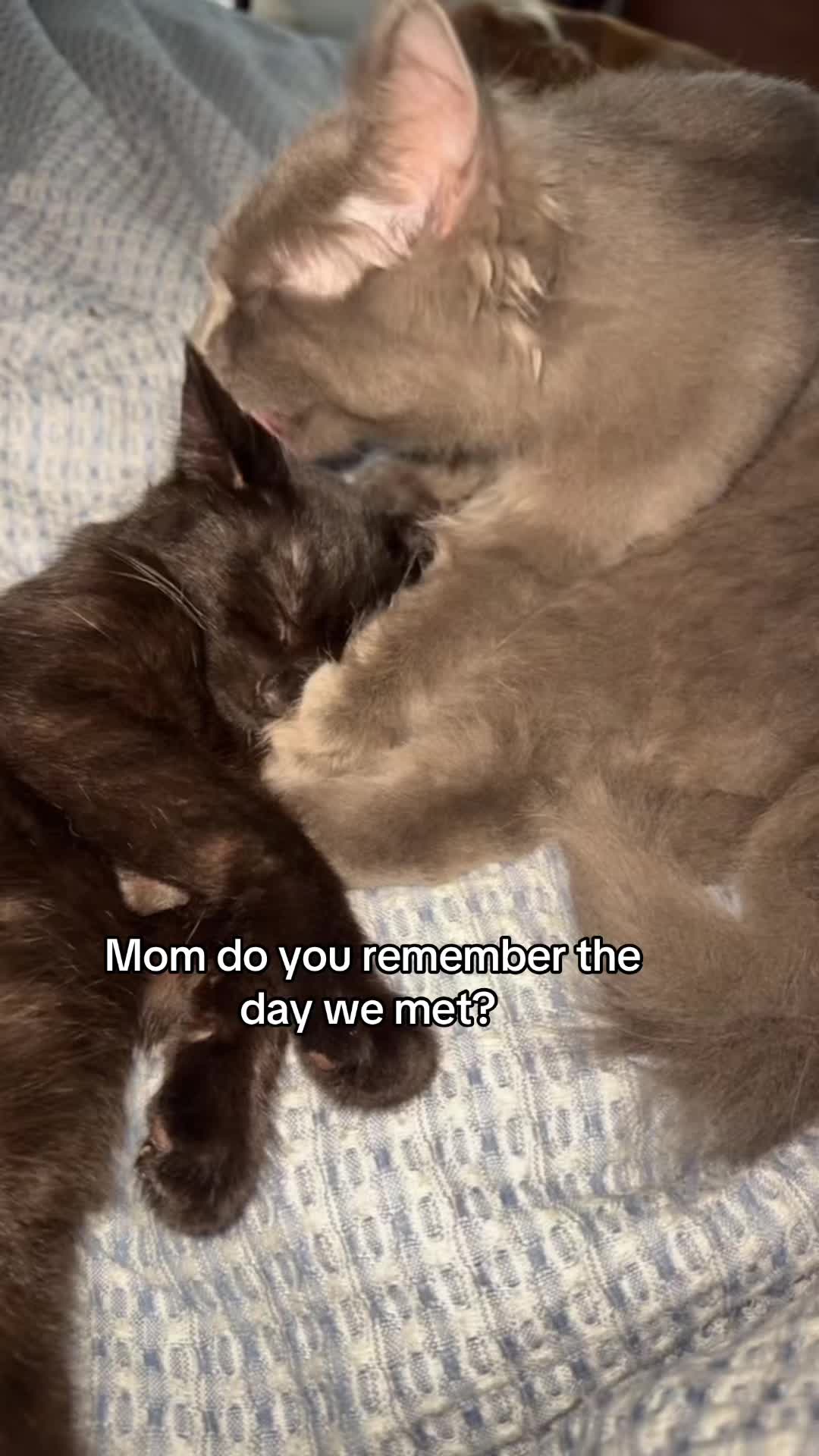 @Sam