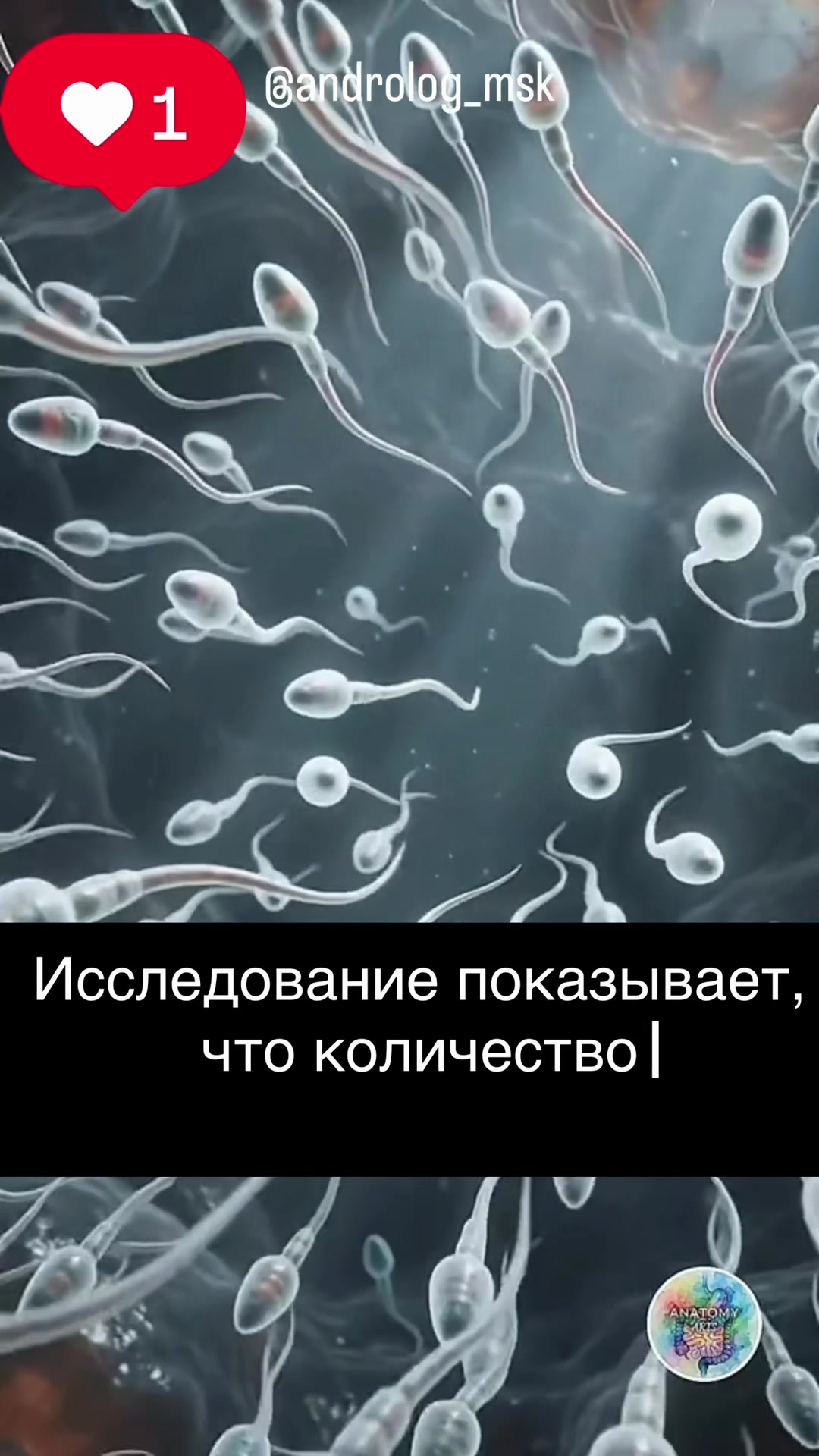@Андролог Андрей Лычагин