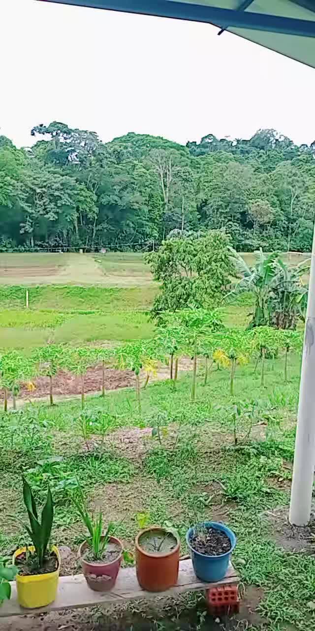 @acua agro