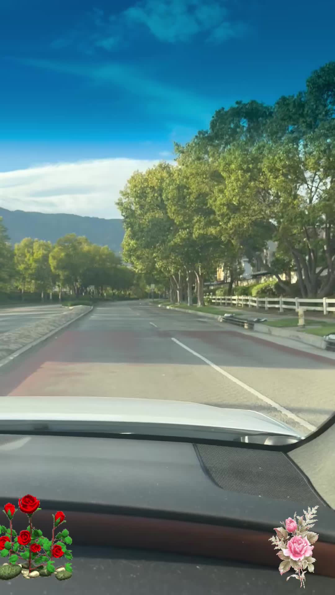 @Deina بنت الرب