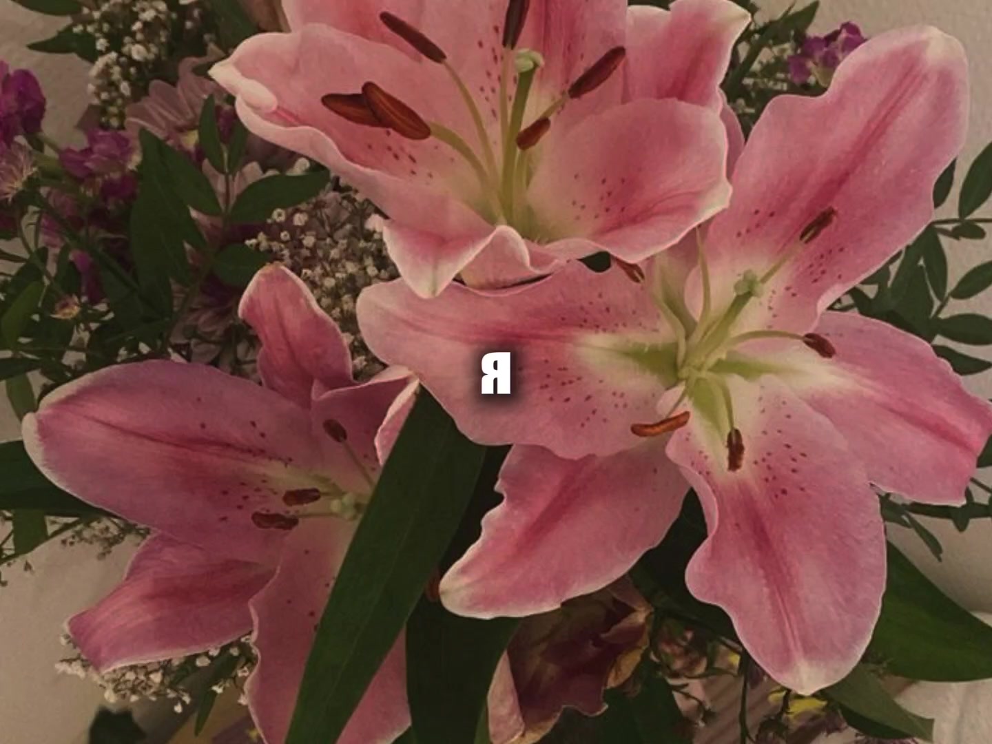 @звуки для липсингов