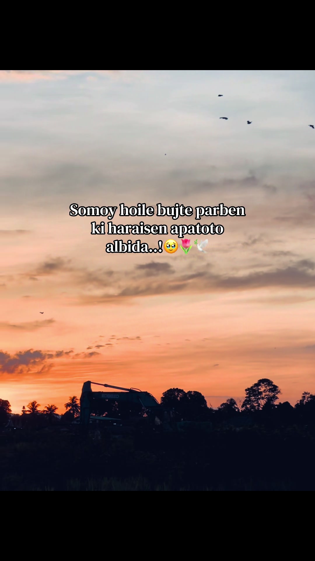 @đ° đĻ đ đ đ đ đ°'âĄ