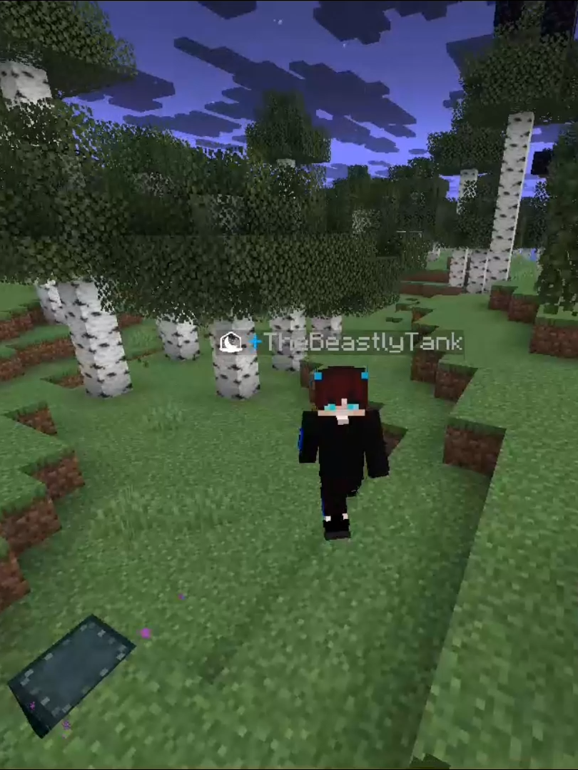 @TheBeastlyTankMC