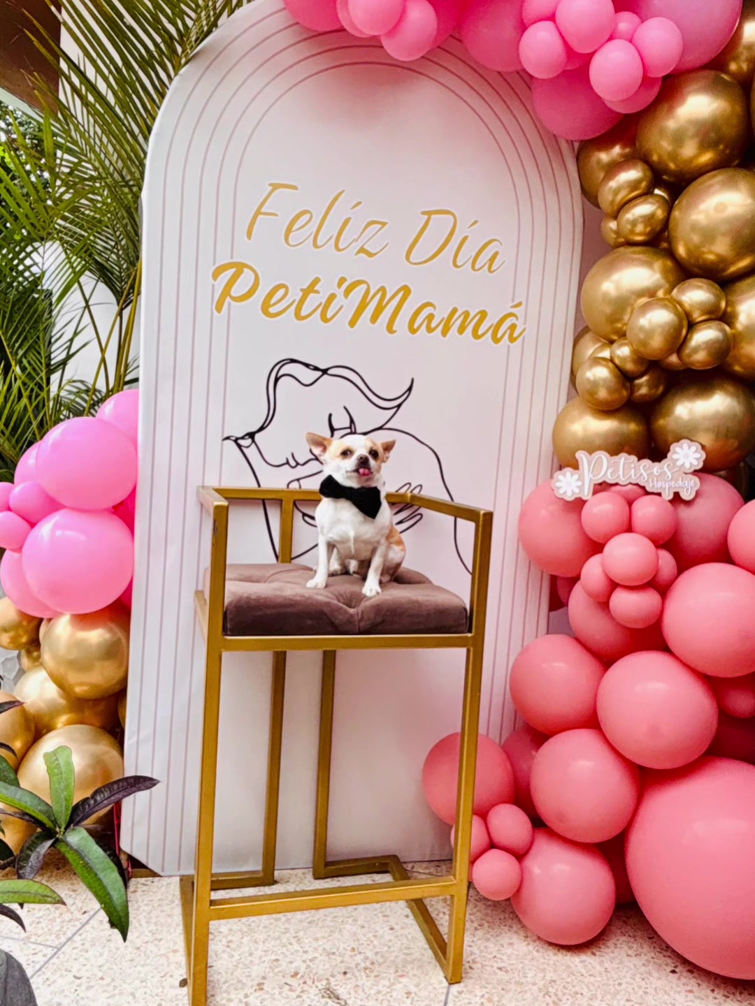 @🐾 Petisos 🐾