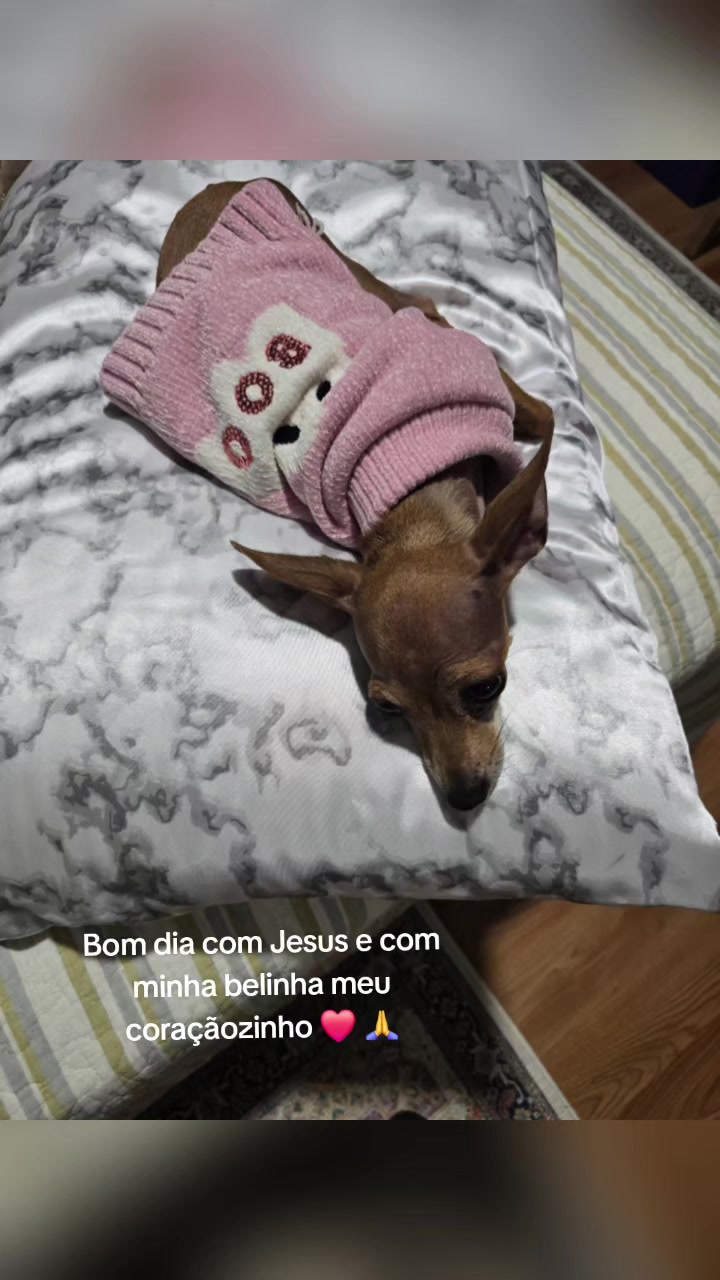 @Aparecida Luiza