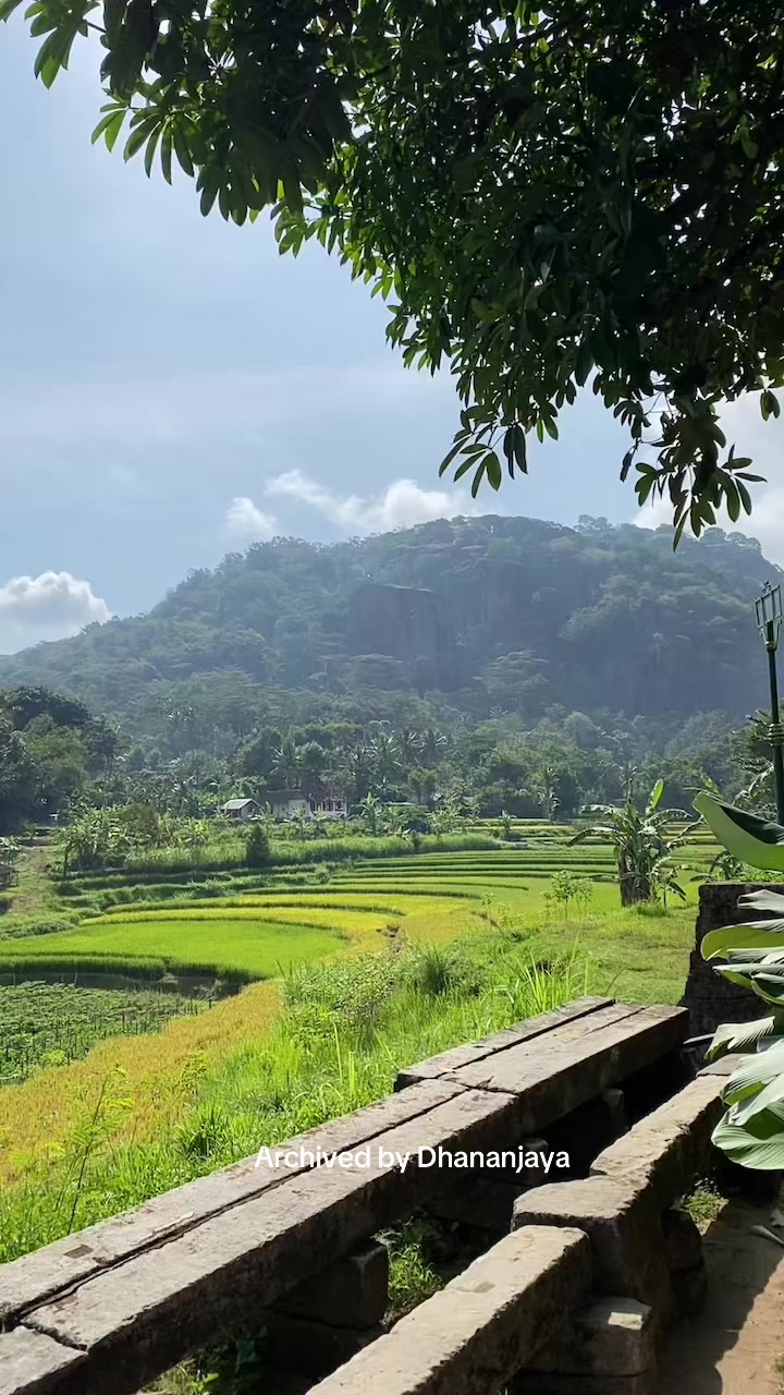 @Dhananjaya