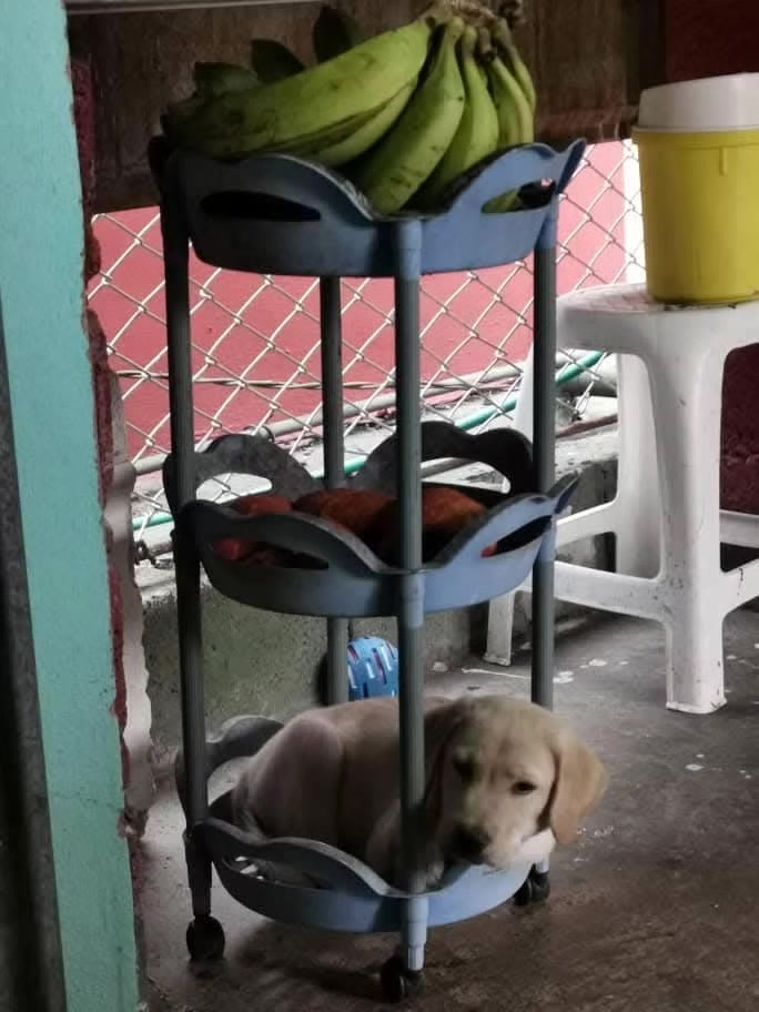 @Lancipoo🇨🇺💚🇺🇾