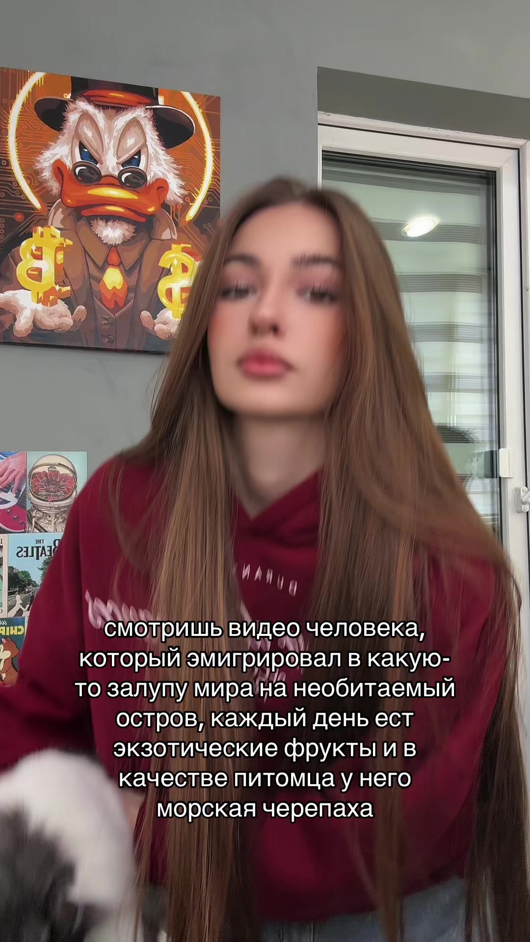 @dankoka