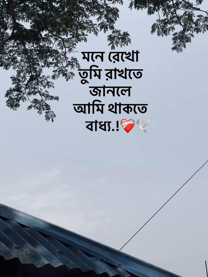 @সা জু 📜