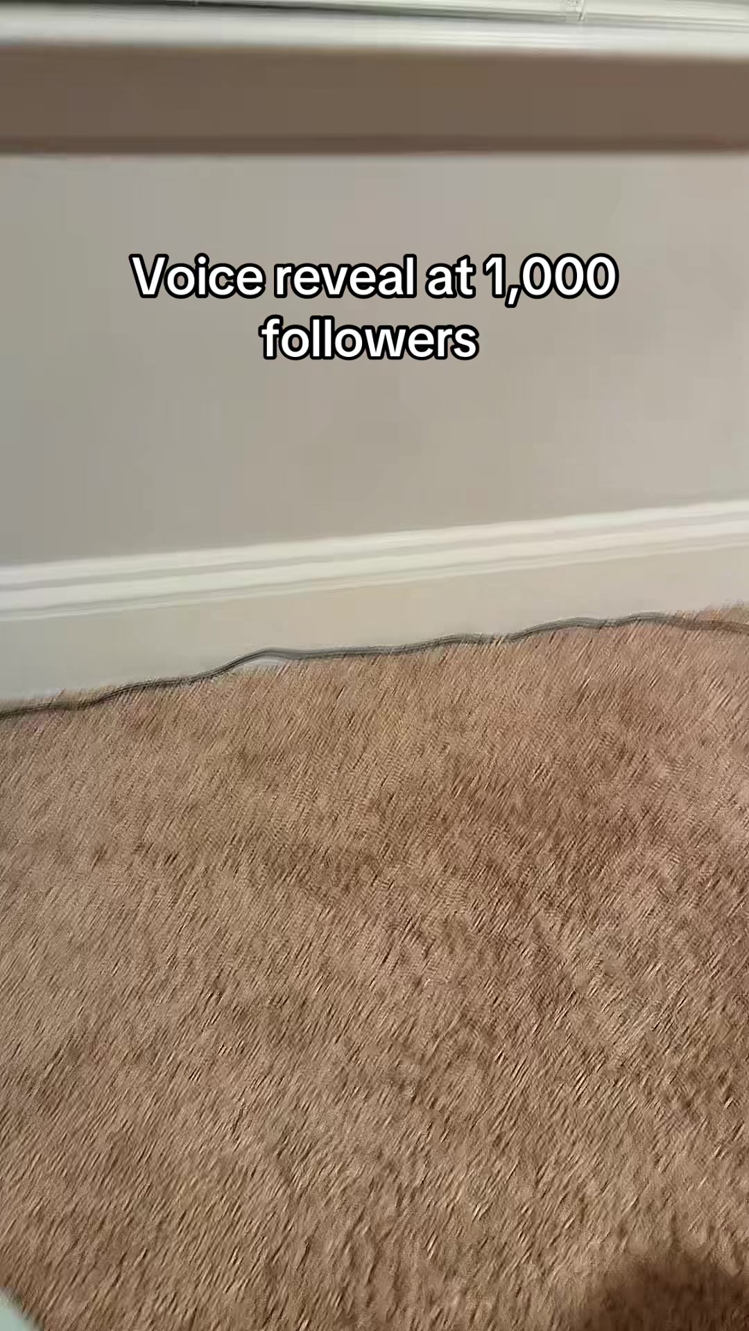 @🦋S0F🌺