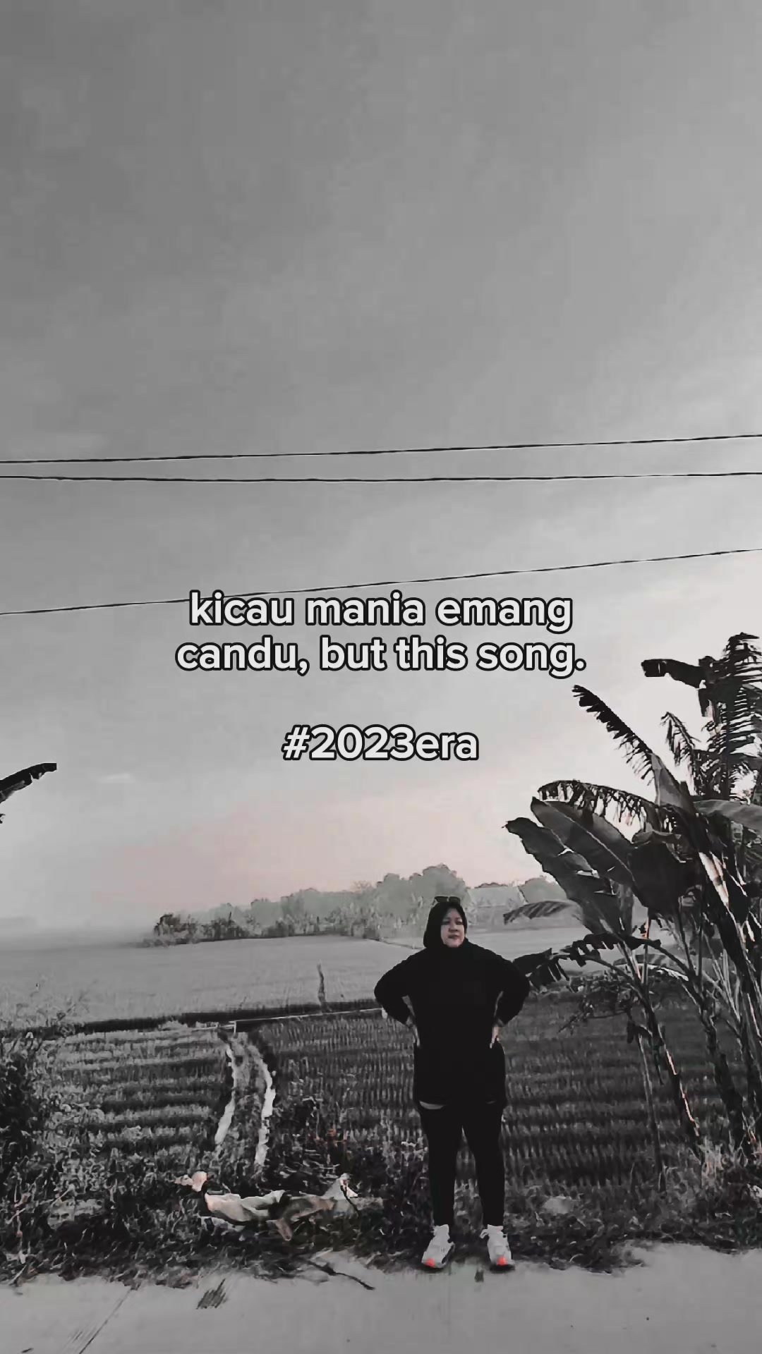 @lentera