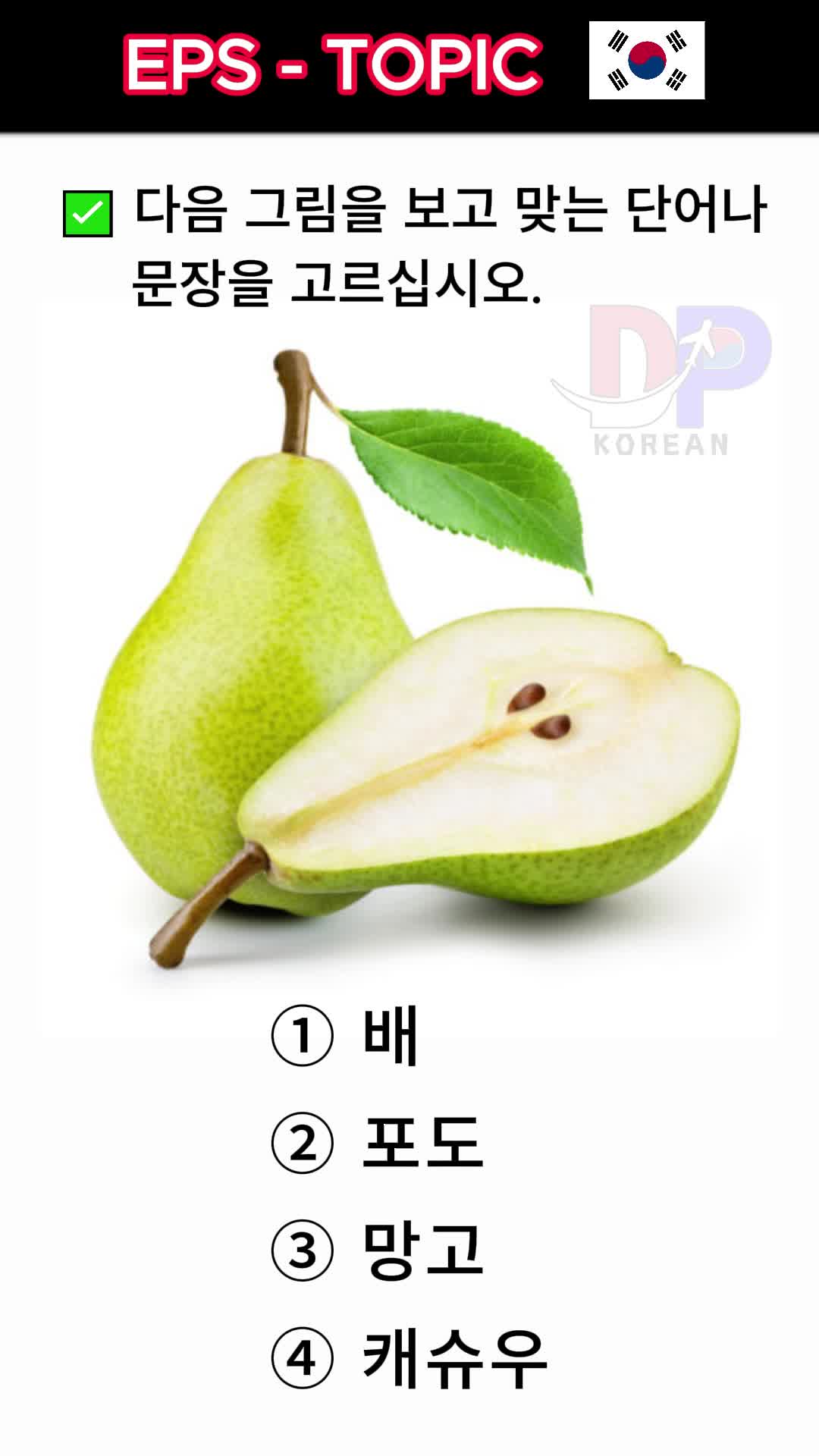 @DP korean
