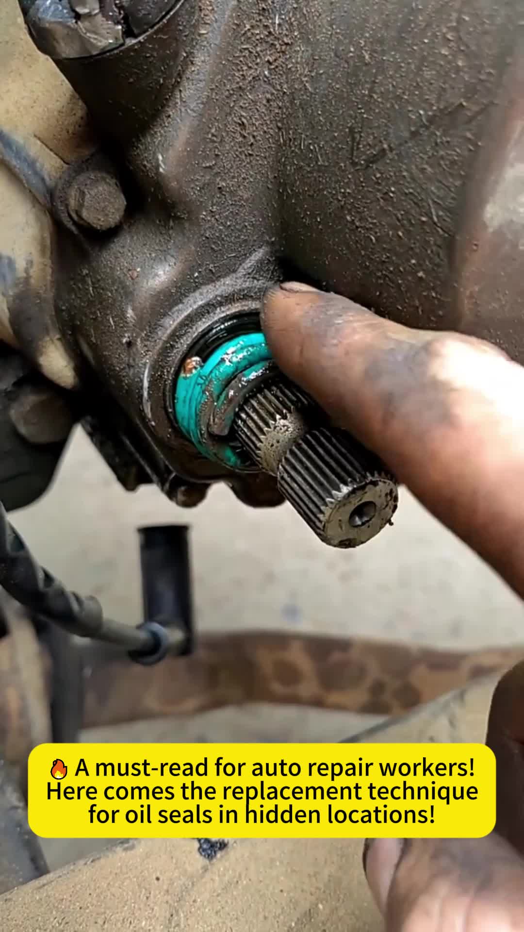 @auto parts