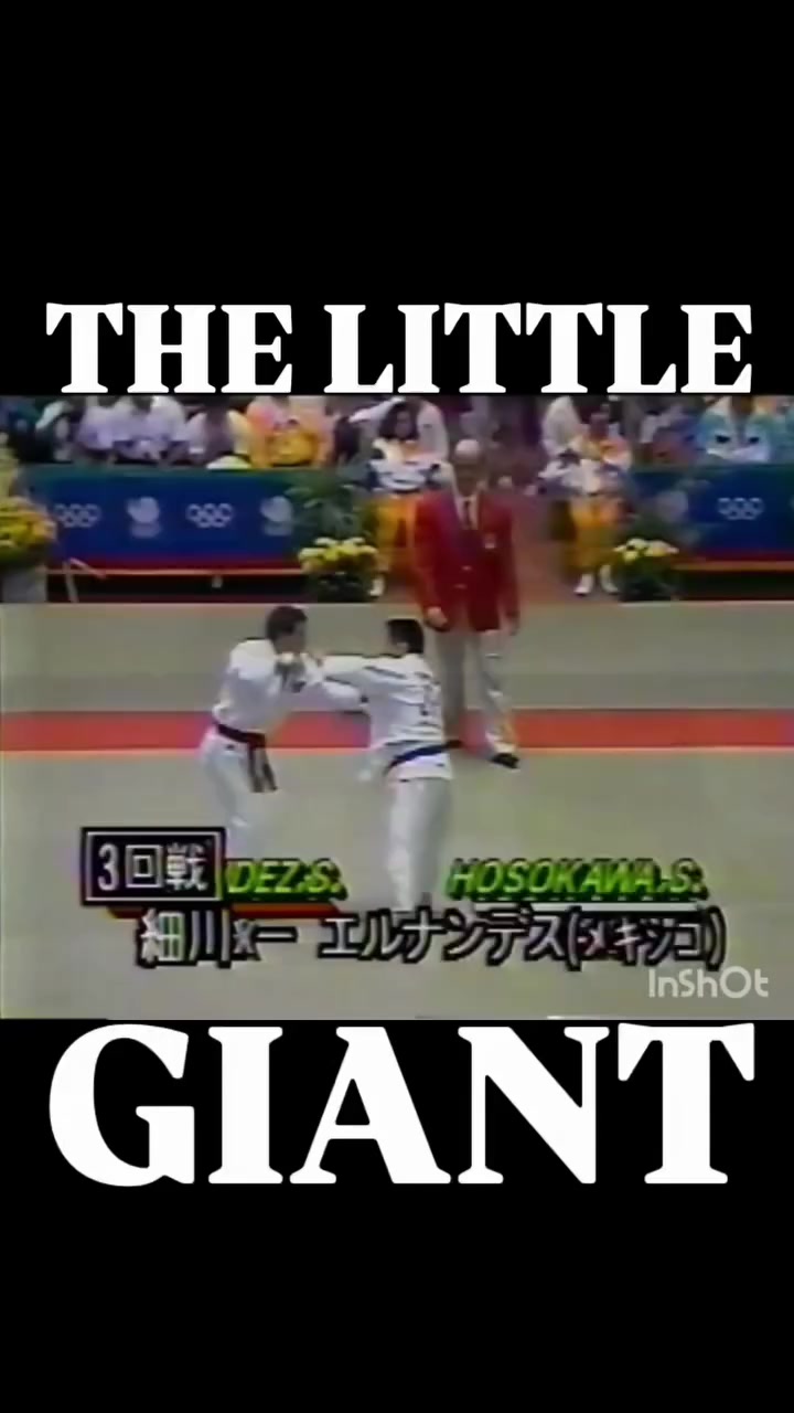 @mir_judo