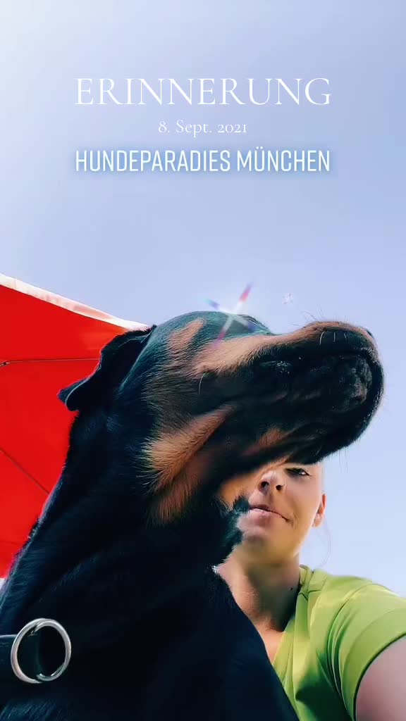 @Mountain Hill Ranch 🇦🇹