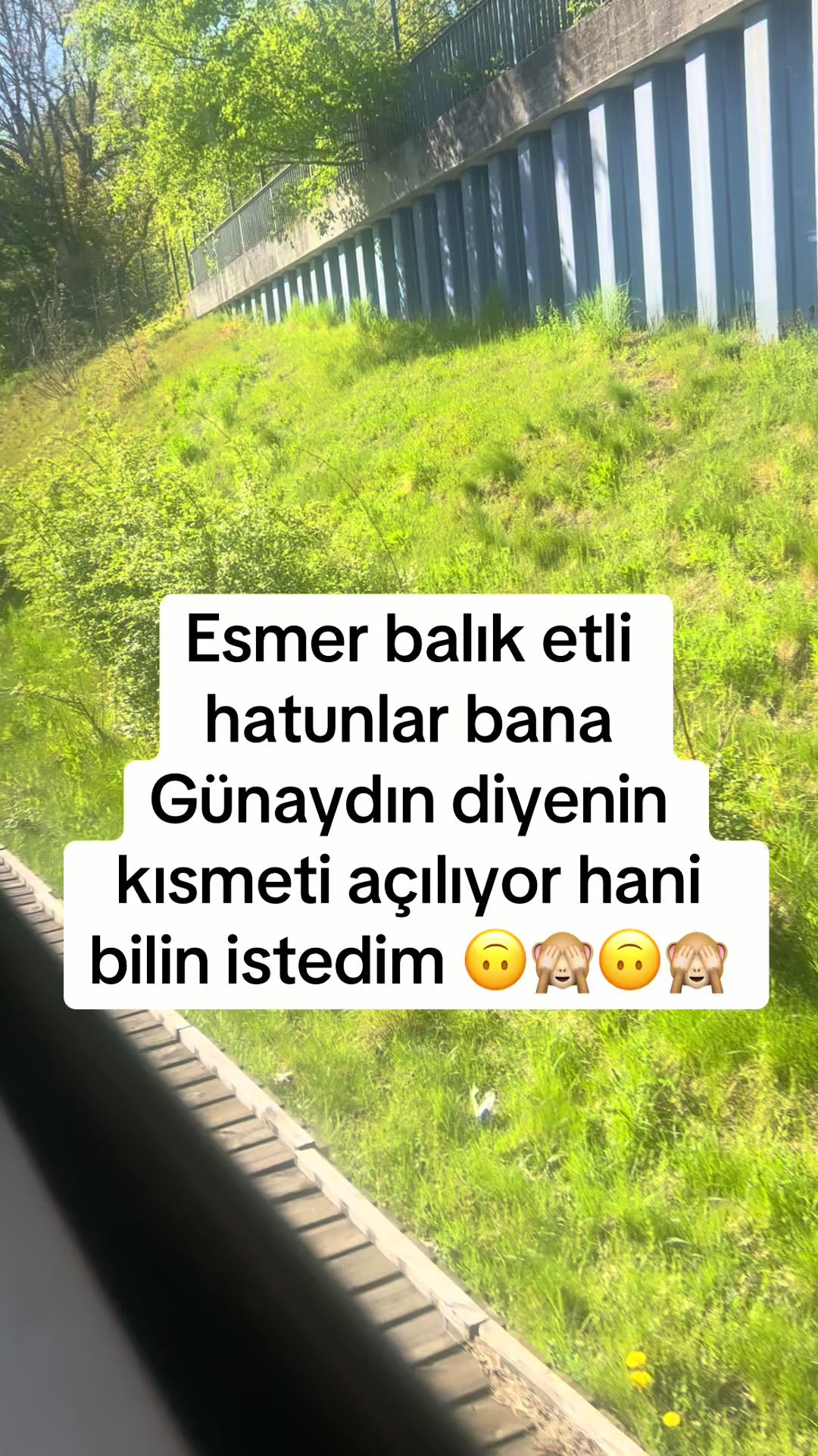 @✌️✌️✌️✌️🇩🇪🇩🇪🇹🇷🇹🇷