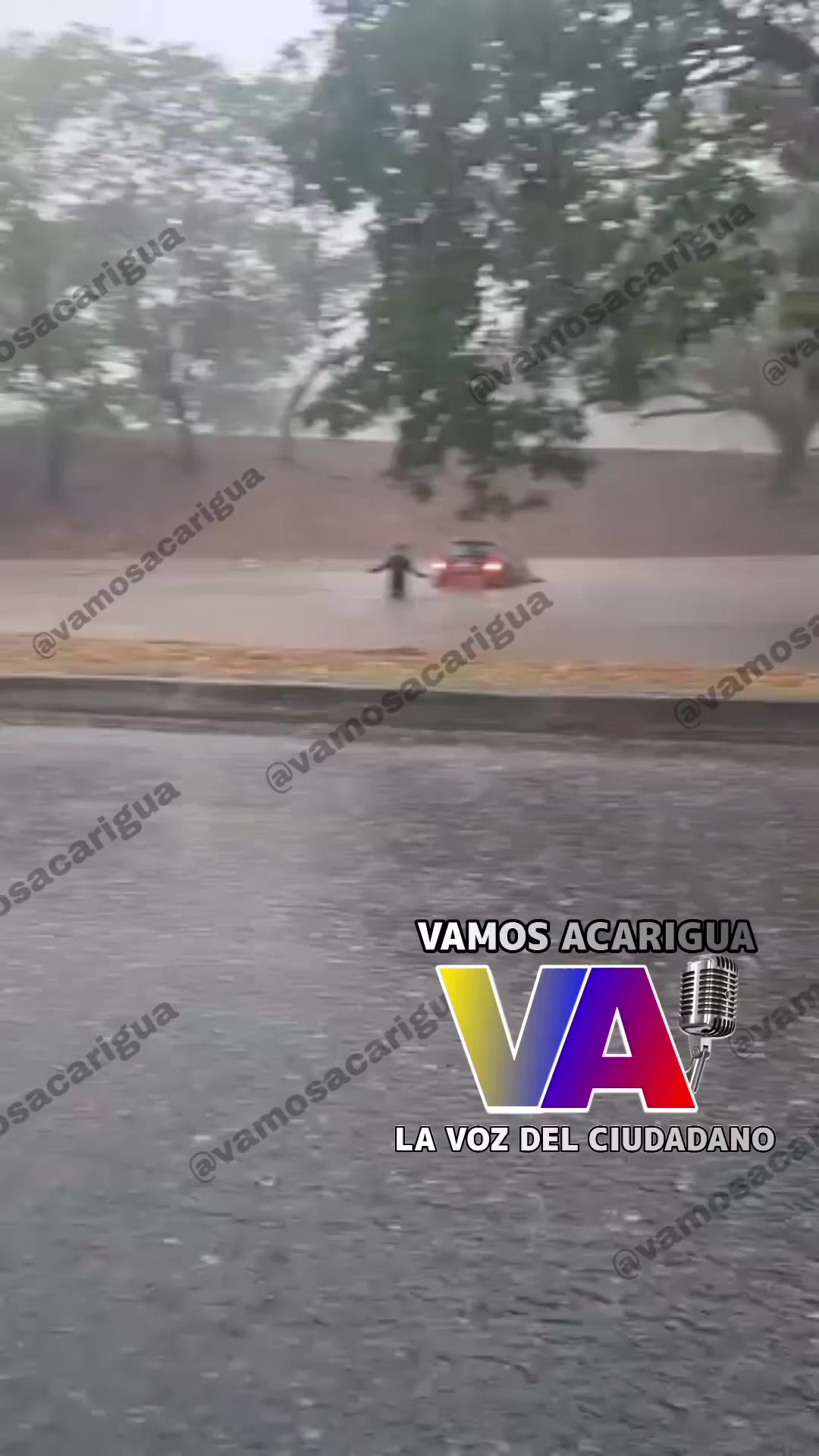 @Vamos Acarigua