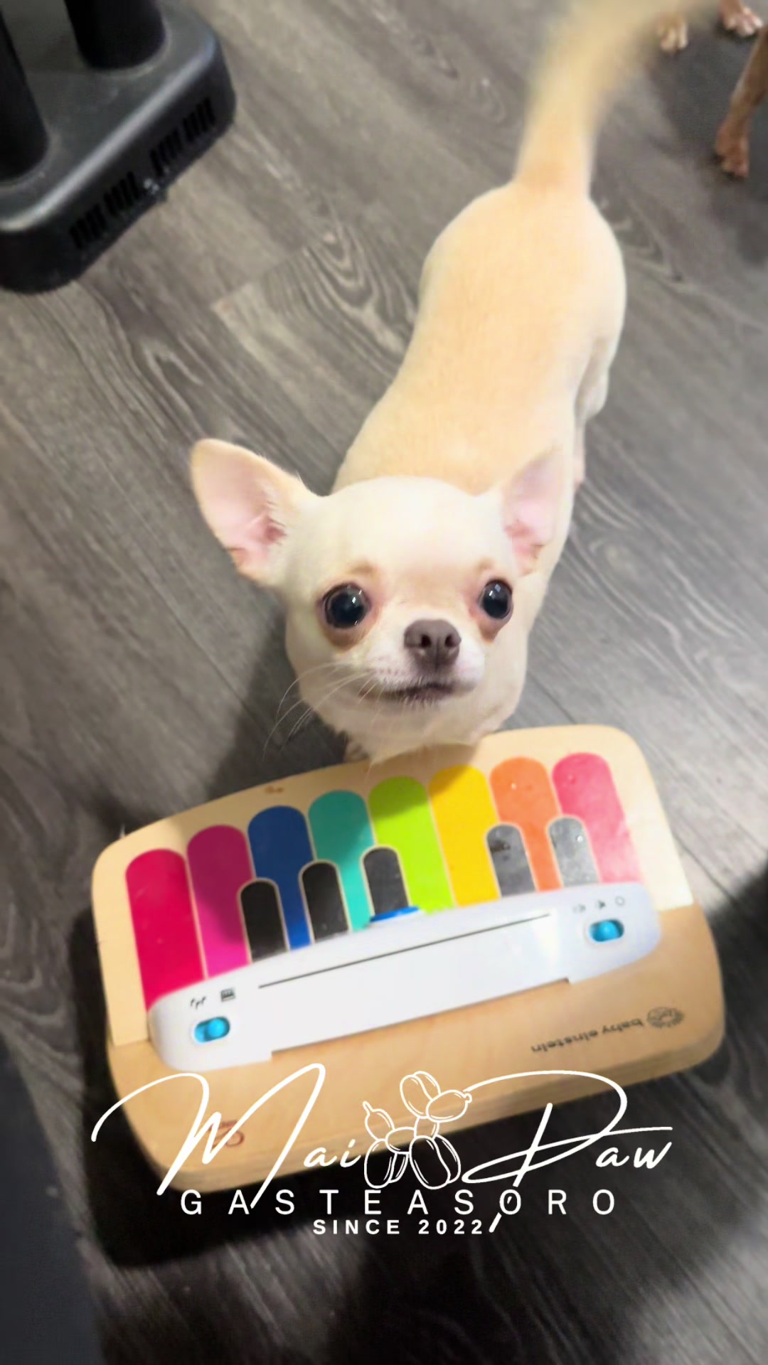 @MaiPaw