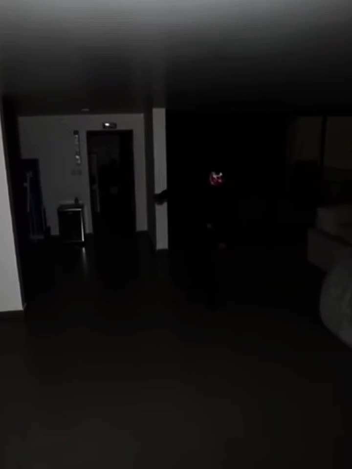 @ANGEL 🐺🌪