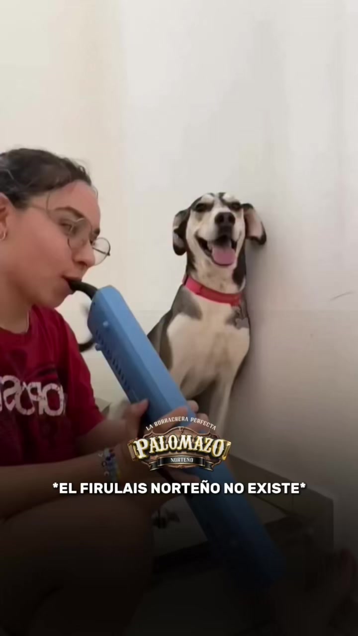 @Palomazo Norteño