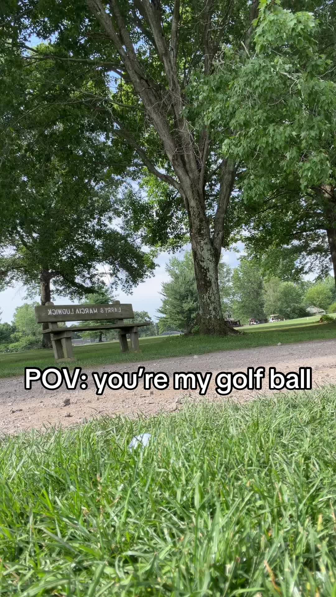 @Amanda Ash