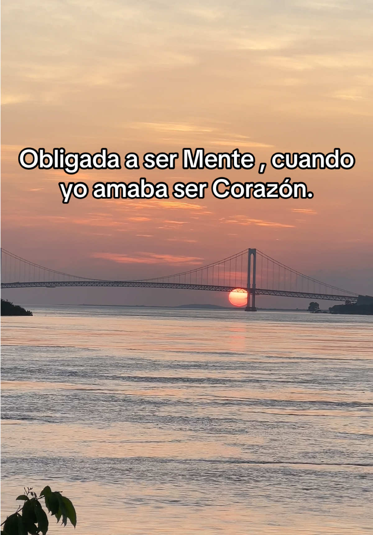 @LaZerpa
