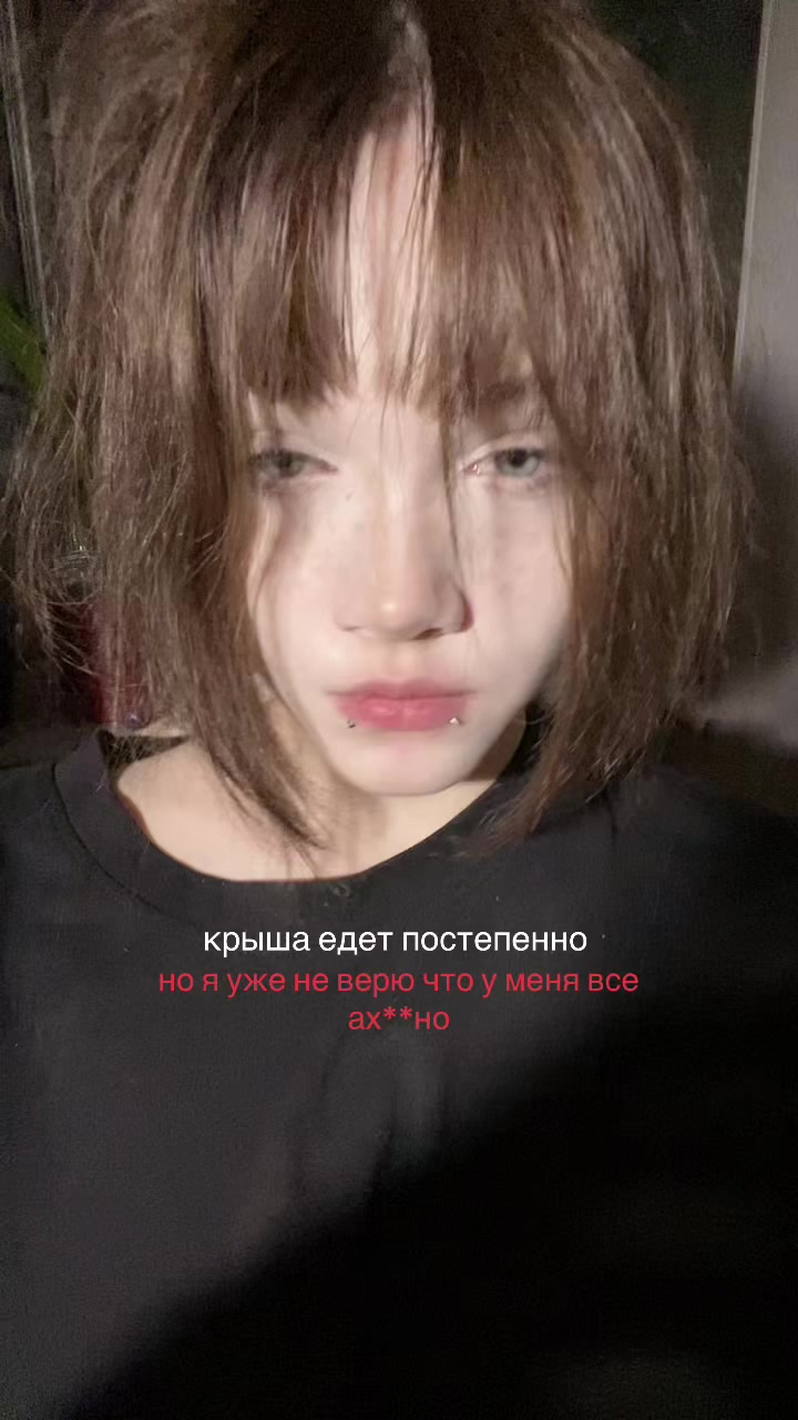 @лацертида