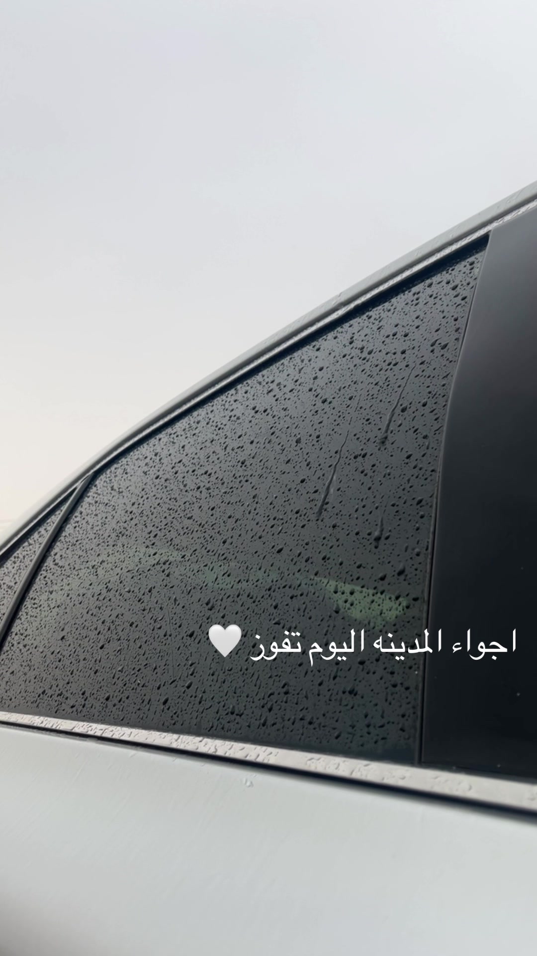@لولو الحربي