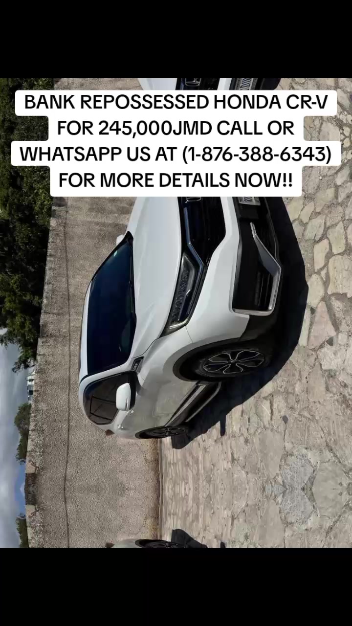 @cheap_reposales