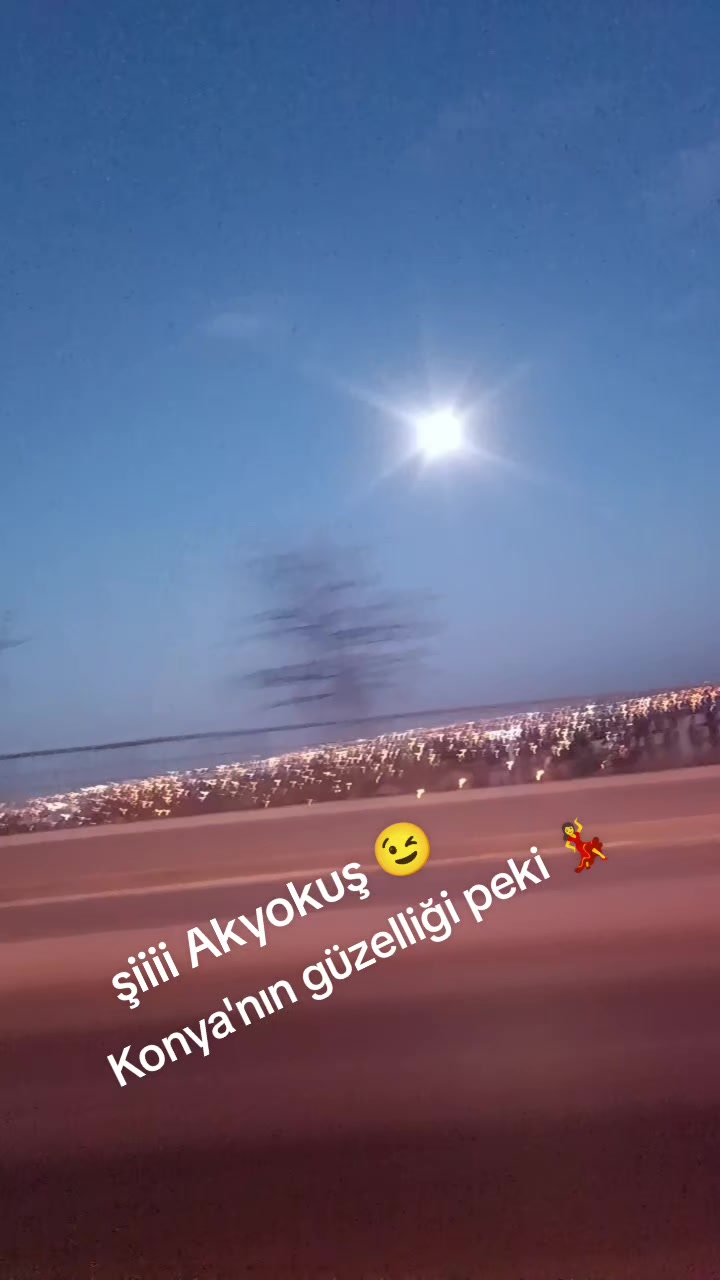 @mevld.dgl