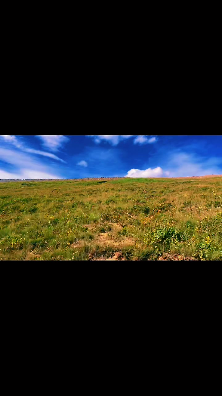 @𝒉𝒂𝒏𝒊𝒚𝒂.......
