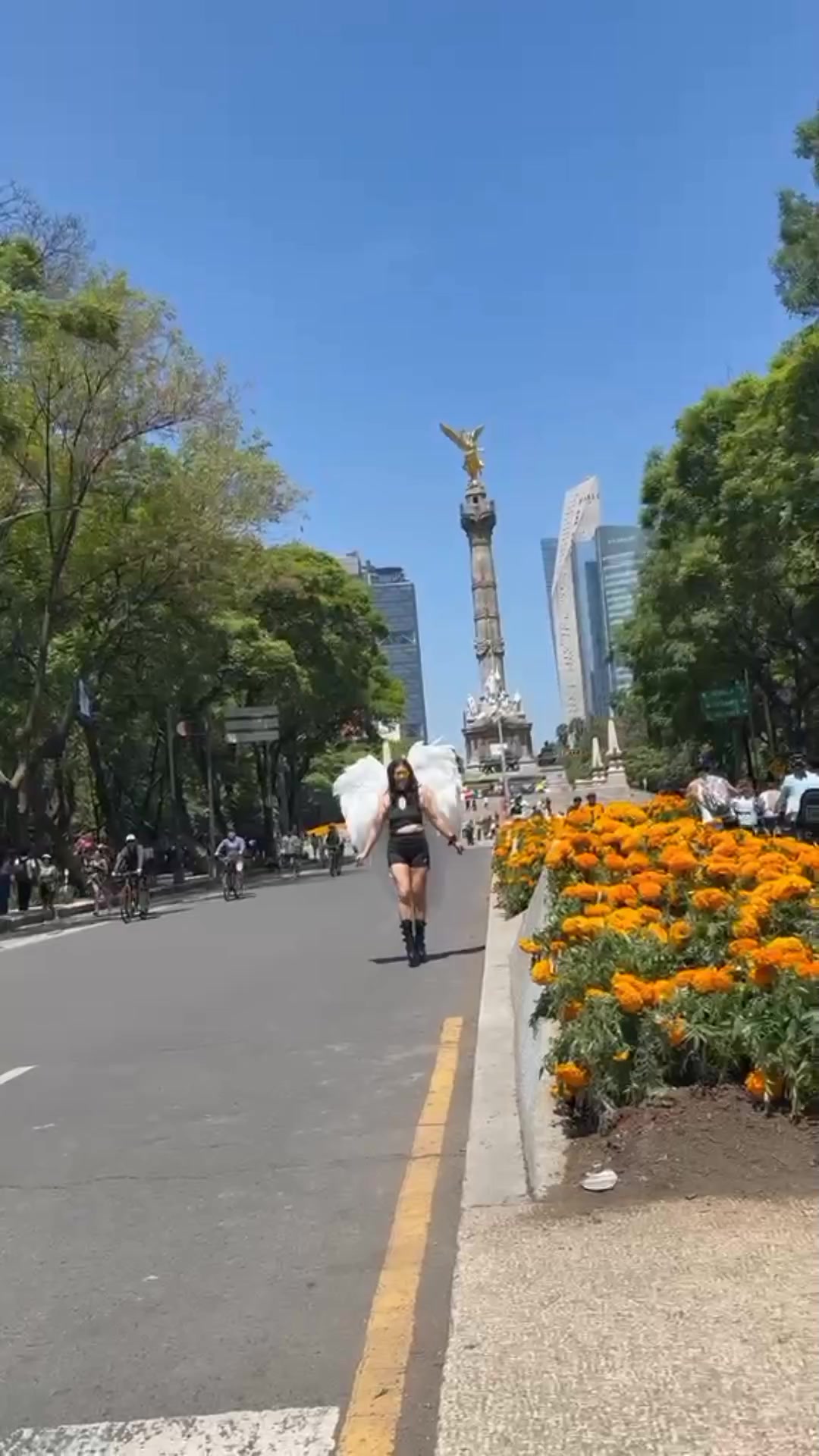 @PatPlata