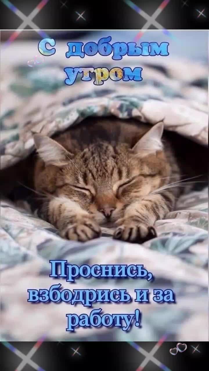 @Елена