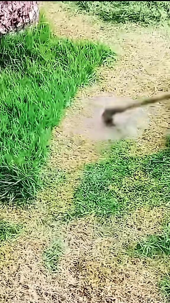 @Satisfying Mowing
