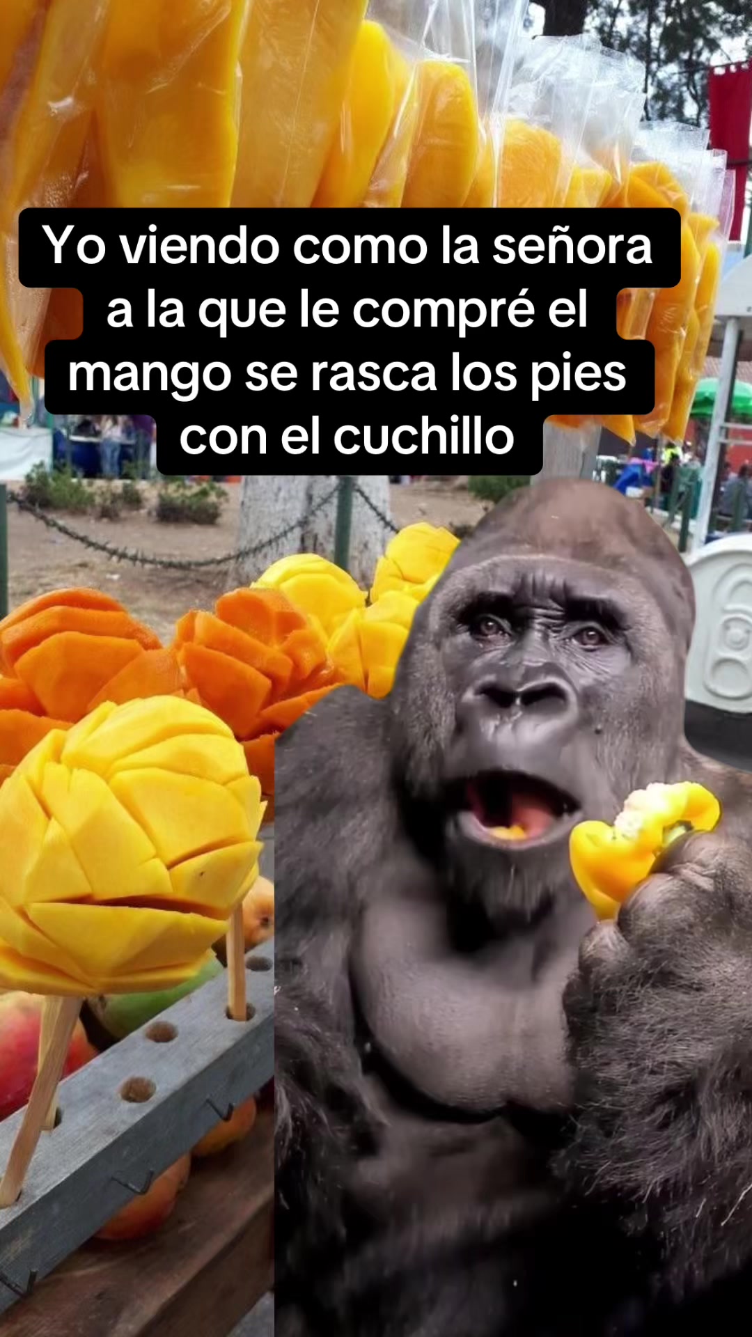 @José Francisco olmedo